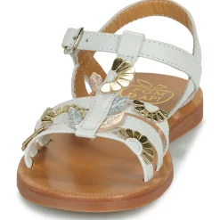 PLAGETTE MULTI DAISY