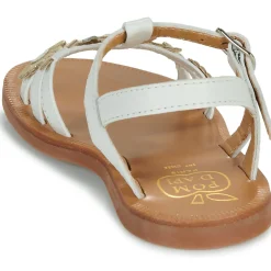 PLAGETTE MULTI DAISY