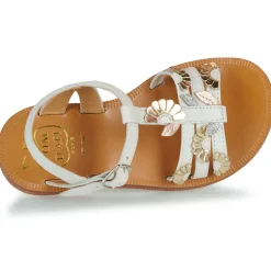 PLAGETTE MULTI DAISY