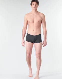 PLUME TRUNK