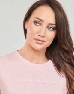 REG FROSTED CORP LOGO C-NK SS