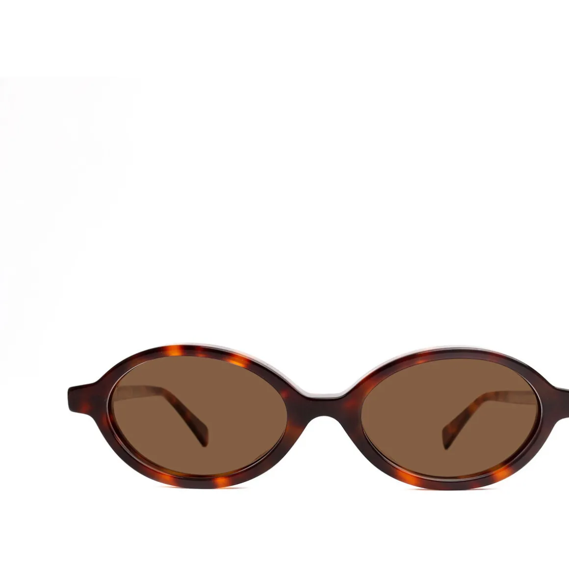 Rodi Lunettes de soleil, écaille/Marron, 44 mm