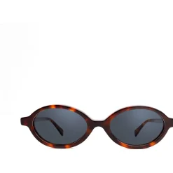 Rodi photochromique couleur écaille/verres neutres gris pho