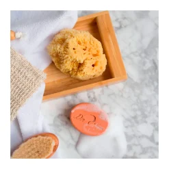 Shampooing Et Gel Solides Hydratation Pour Enfants Etui Peaux S