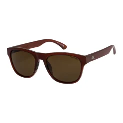 Tagger Polarized