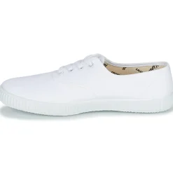 TENNIS 1915 INGLESA TOILE