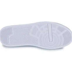 TH COURT LTH DETAIL ESS