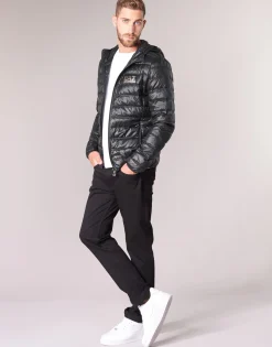 TRAIN CORE ID M DOWN LIGHT