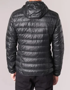 TRAIN CORE ID M DOWN LIGHT