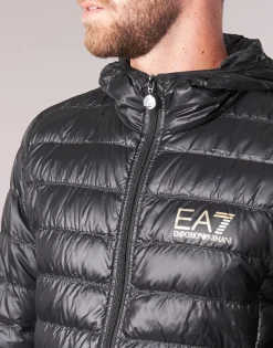 TRAIN CORE ID M DOWN LIGHT