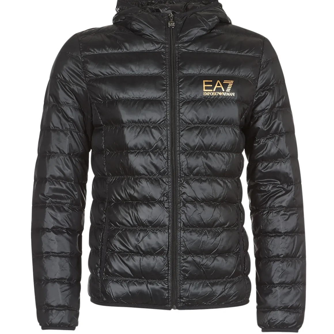 TRAIN CORE ID M DOWN LIGHT