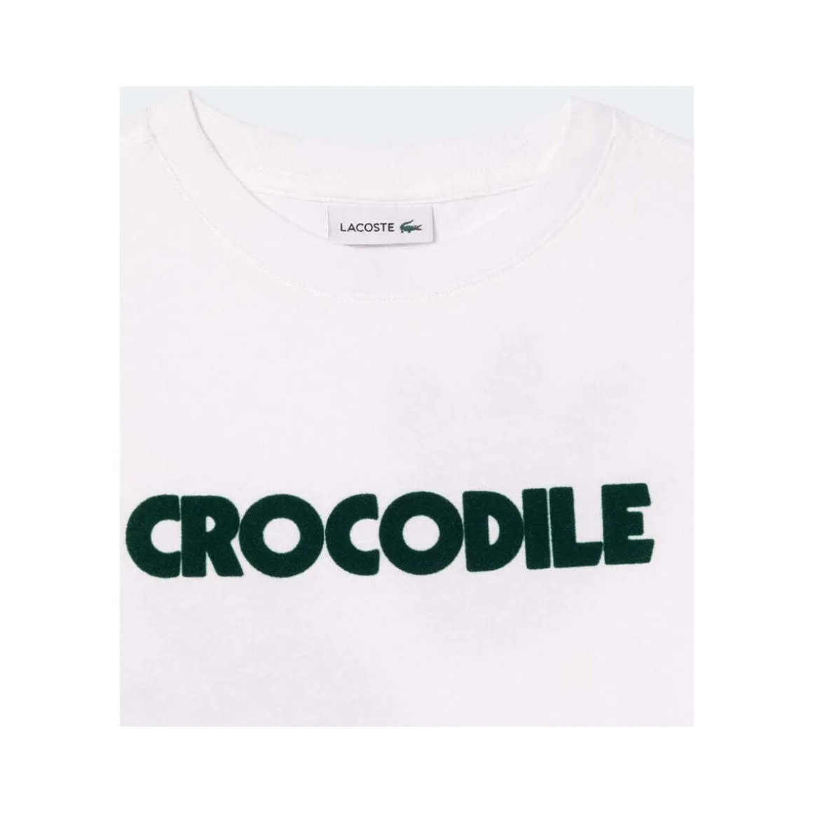 T-shirts & Polos Lacoste 8789077492051BIANCO