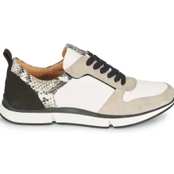 VANILLE V5 PYTHON ICE