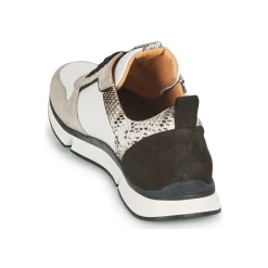 VANILLE V5 PYTHON ICE