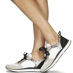 VANILLE V5 PYTHON ICE